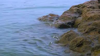 海浪拍打礁石头浪花视频的预览图
